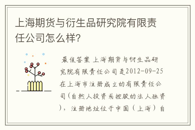 上海期货与衍生品研究院有限责任公司怎么样？