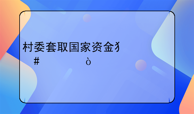 村委套取国家资金犯什么罪？
