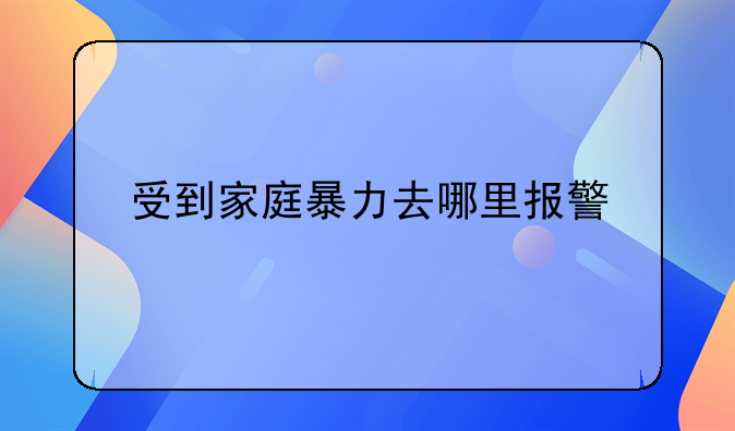 受到家庭暴力去哪里报警