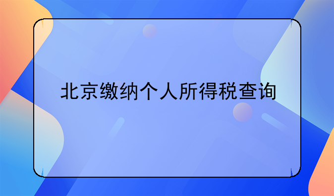 北京缴纳个人所得税查询
