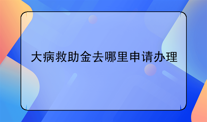 大病救助金去哪里申请办理