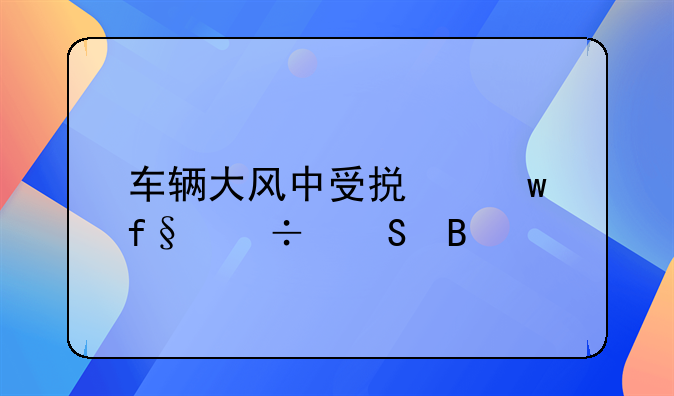 车辆大风中受损保险能赔吗