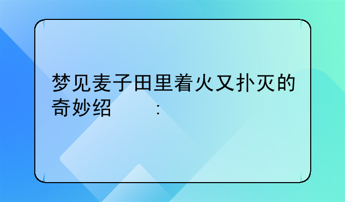 梦见麦子田里着火又扑灭的奇妙经历