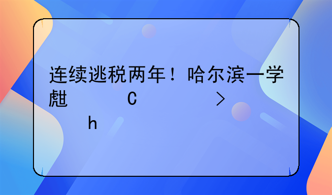 连续逃税两年！哈尔滨一学生餐公司被罚34万
