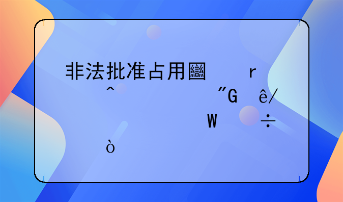 非法批准占用土地罪既遂刑事责任如何追究？