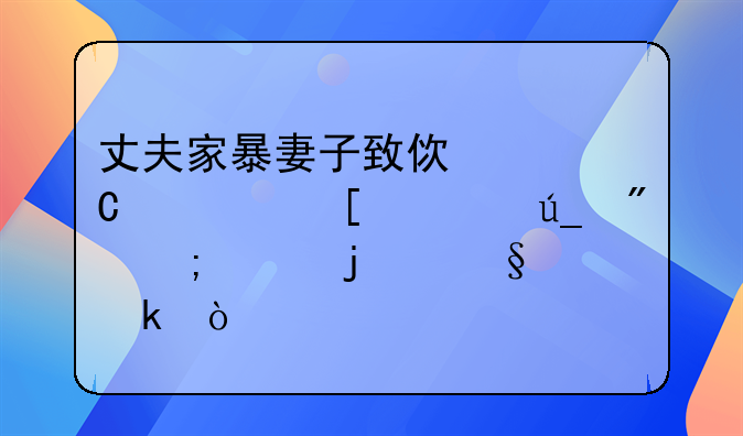 丈夫家暴妻子致使妻子离世将得到怎样的惩罚？