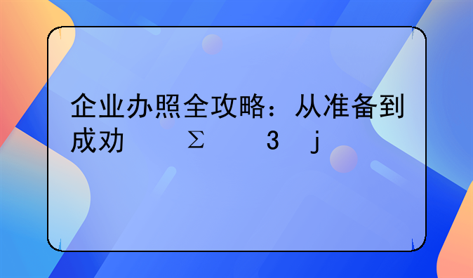 企业办照全攻略：从准备到成功注册的详细步骤