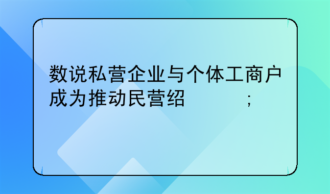 数说私营企业与个体工商户成为推动民营经济稳健前行“双引擎”