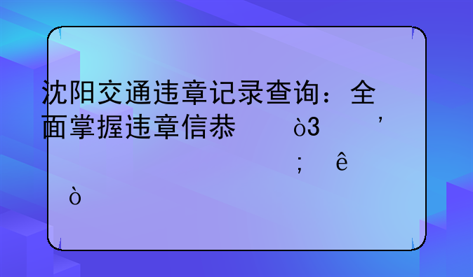 沈阳交通违章记录查询：全面掌握违章信息，安全驾驶从了解开始