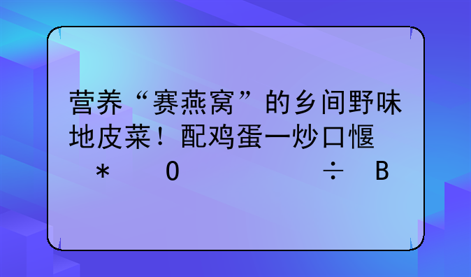 营养“赛燕窝”的乡间野味地皮菜！配鸡蛋一炒口感劲道超好吃